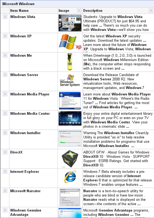 google squared windows