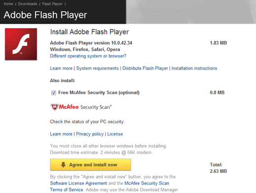 adobe flash page