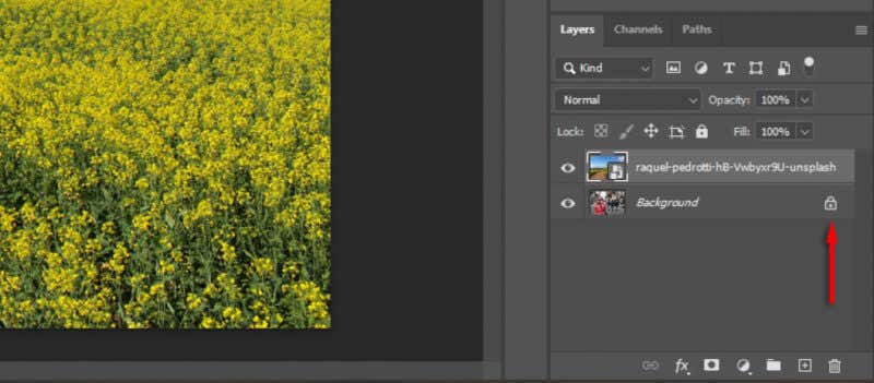 How To Change The Background In An Image Using Photoshop Ui Tech Mind