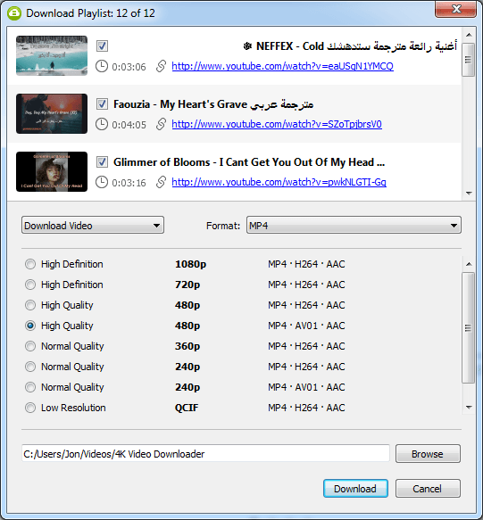 How To Download Complete Youtube Playlists