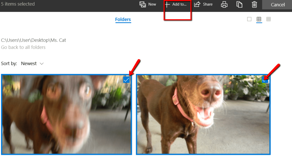 How To Convert Pictures Into a Movie The Easy Way image 4 - Select