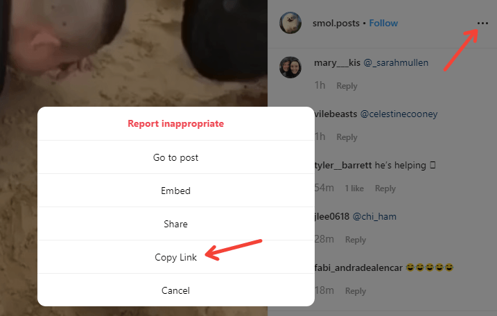 copy link download instagram videos