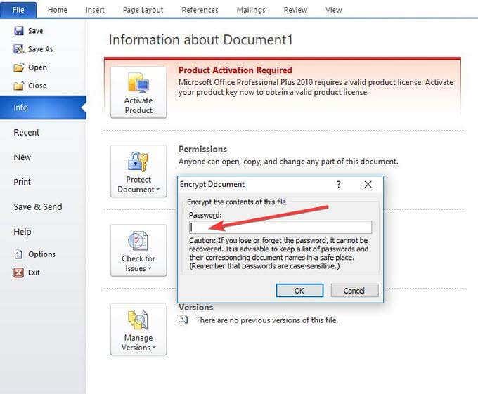 How To Password Protect Word   PDF Documents - 5