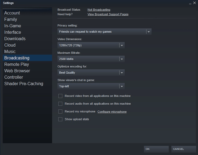 What Is Steam Broadcasting and How to Set It Up - 25