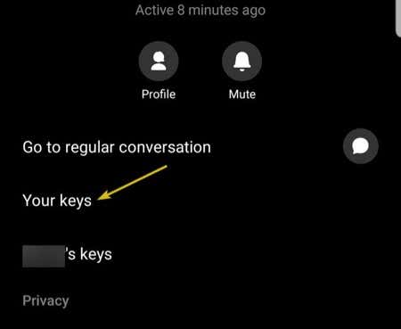 Verifying Secret Conversations on Facebook Messenger image 2 - setup-use-facebook-messenger-self-destructing-messages-your-keys