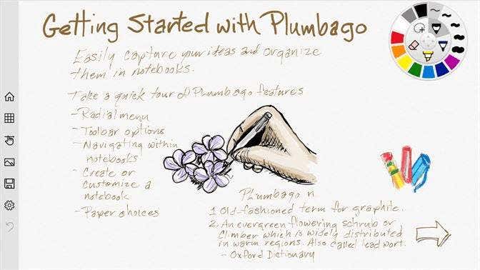 Plumbago image - Plumbago