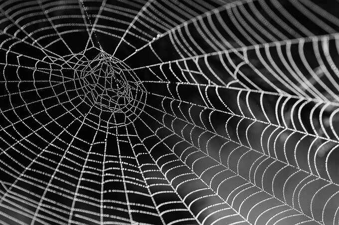 “Internet” Is Short For “Internetwork” image - Spiderweb