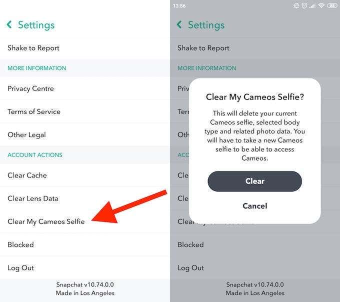 How to Use Your Snapchat Cameo image 2 - clear-cameos-selfie