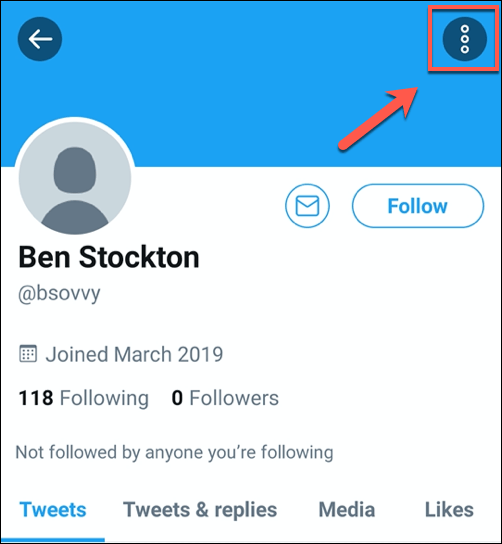 How To Block Someone On Twitter Using The Twitter App image 2 - Twitter-App-Profile-Menu-Icon