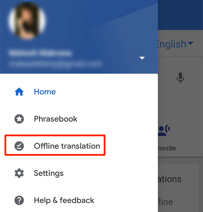 how to use google translate voice offline