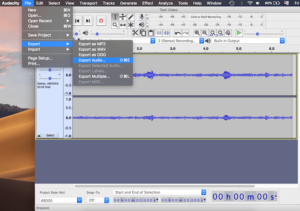 audacity ffmpeg file