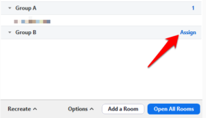 pre assign zoom breakout rooms