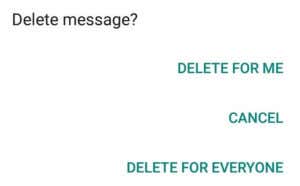 How Does WhatsApp Work? (A Beginner’s Guide)