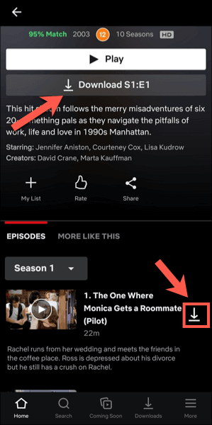 download episodes on netflix on mac