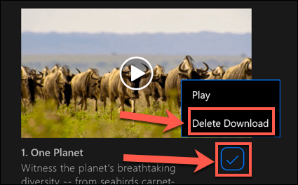 How To Download From Netflix On Windows image 7 - Netflix-Windows-Delete-Downloaded-Content