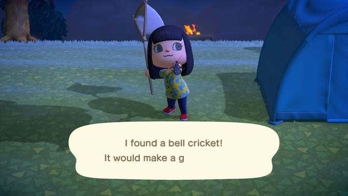 How To Get Started In Animal Crossing  New Horizons - 53