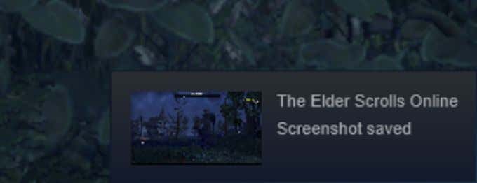 How To Take a Screenshot On Steam - 71