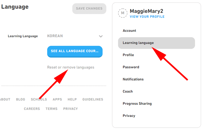 Reset or Remove a Duolingo Course image - 04RemoveReset