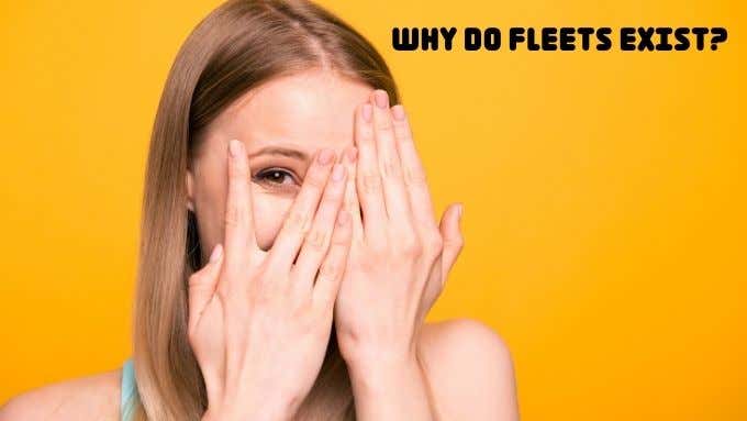 What Is a Twitter Fleet and Why Would You Use It  - 39