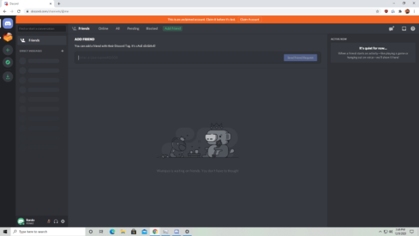 discord on web browser