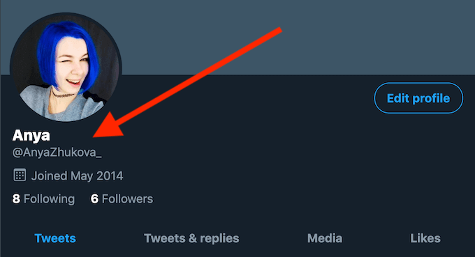 Where to Find Your Twitter Display Name and Handle image - twitter_username_location
