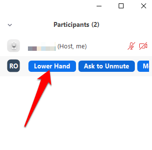 How to Lower Your Hand in a Zoom Meeting image - 14-how-to-raise-a-hand-in-a-zoom-meeting-participants-lower-hand