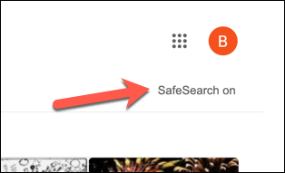 6 PC Google SafeSearch Label 