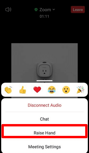 raise hand in zoom