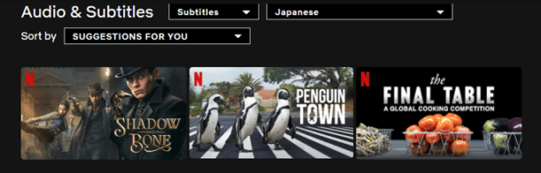 How to Change the Language on Netflix