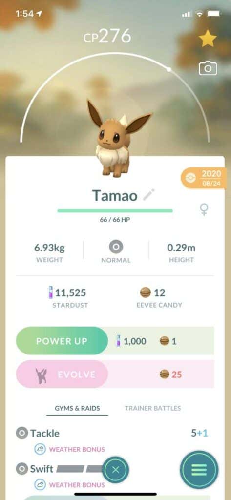 Evolve Eevee By Naming Them image - 6eevee