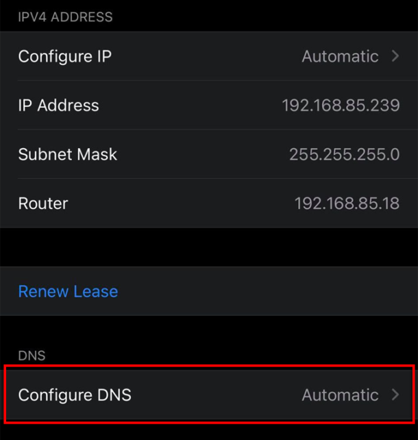 What Is Private DNS and How to Use It