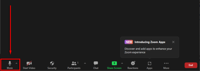 5 Ways to Mute Yourself on Zoom