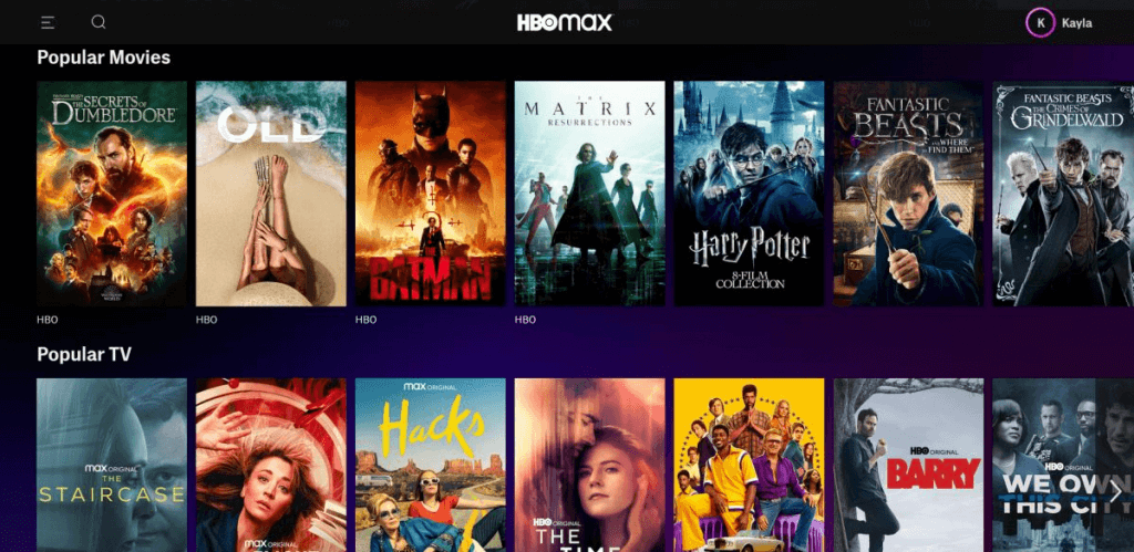 6 Best Netflix Alternatives to Stream Great Content - 73