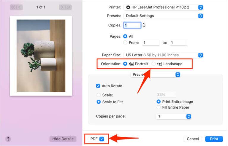 how-to-convert-or-save-a-picture-as-a-pdf-file