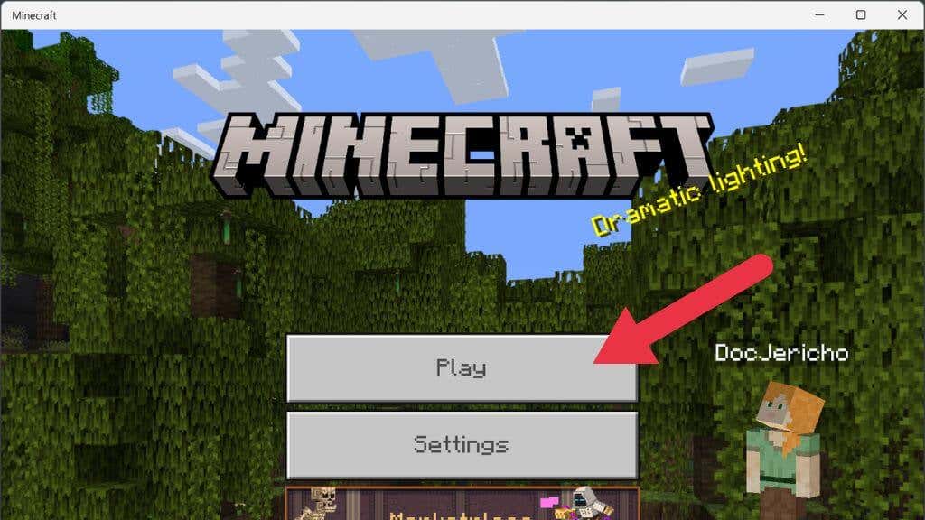 How to fix privacy and online safety setting in Minecraft PE 