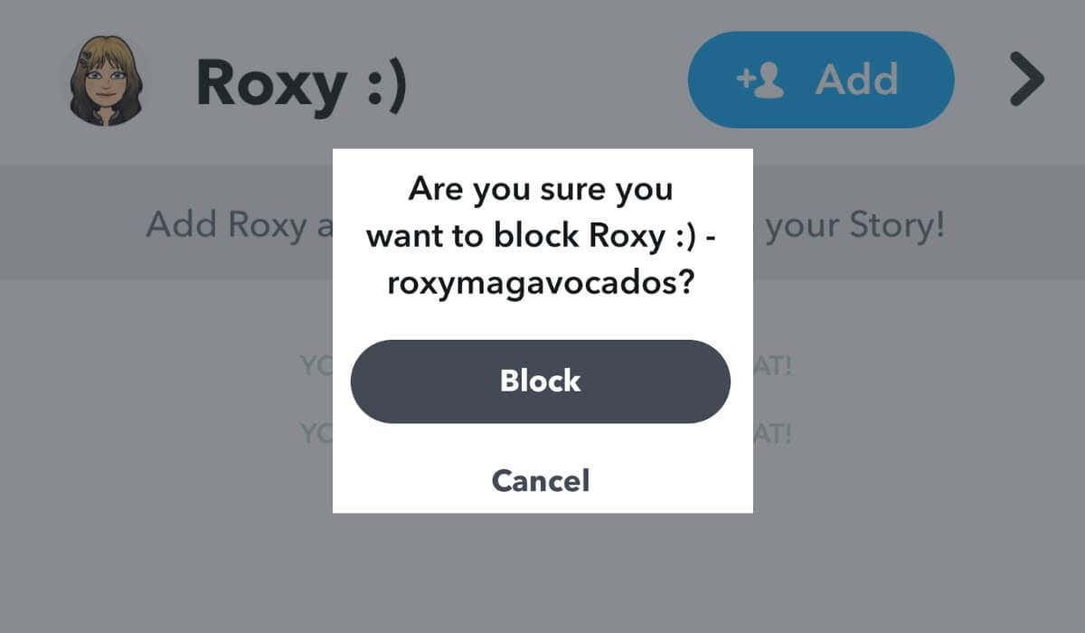 What Happens When You Block Someone on Snapchat - 72