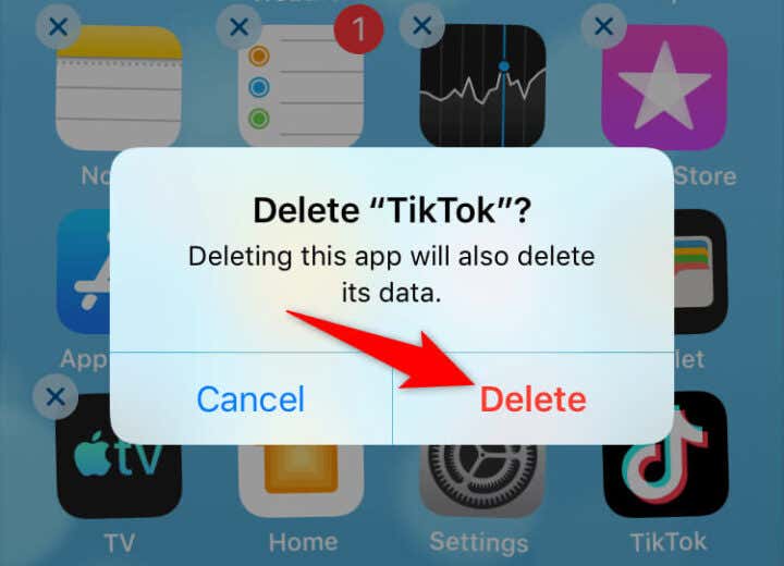 Why Is My TikTok Not Working? 8 Ways to Fix It