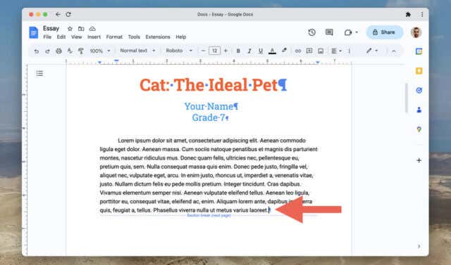 How To Remove Page Breaks And Section Breaks In Google Docs