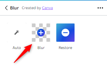 How to Blur a Face in Canva image 5 - how-to-blur-the-face-in-a-photo-using-canva-6-compressed