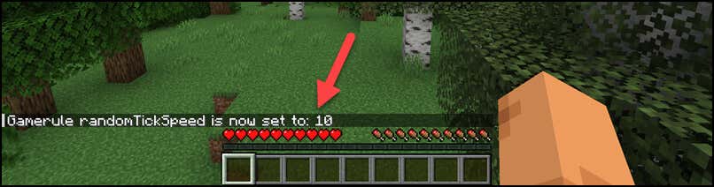 How to Change Tick Speed in Minecraft Using Commands image 3 - how-to-change-tick-speed-in-minecraft-4-compressed