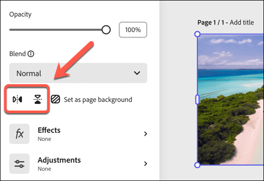 Using the Free Image Flipping Tool in Adobe Express Online image 3 - how-to-flip-images-in-google-docs-8-compressed